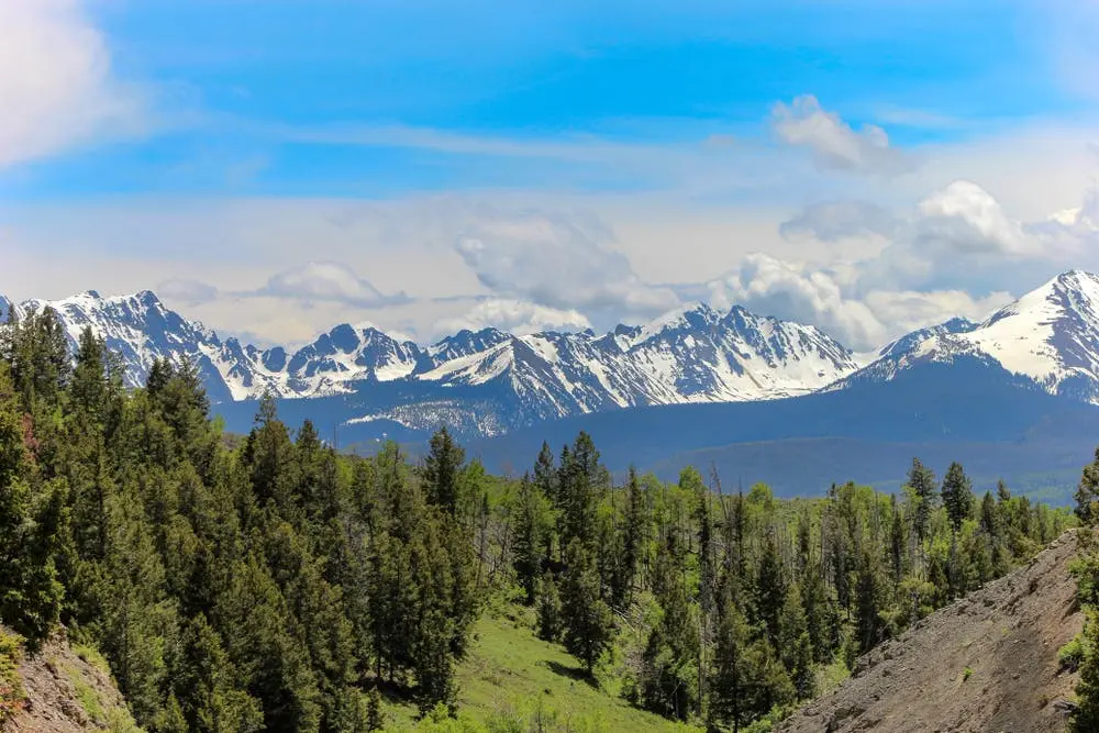 Arapaho National Forest