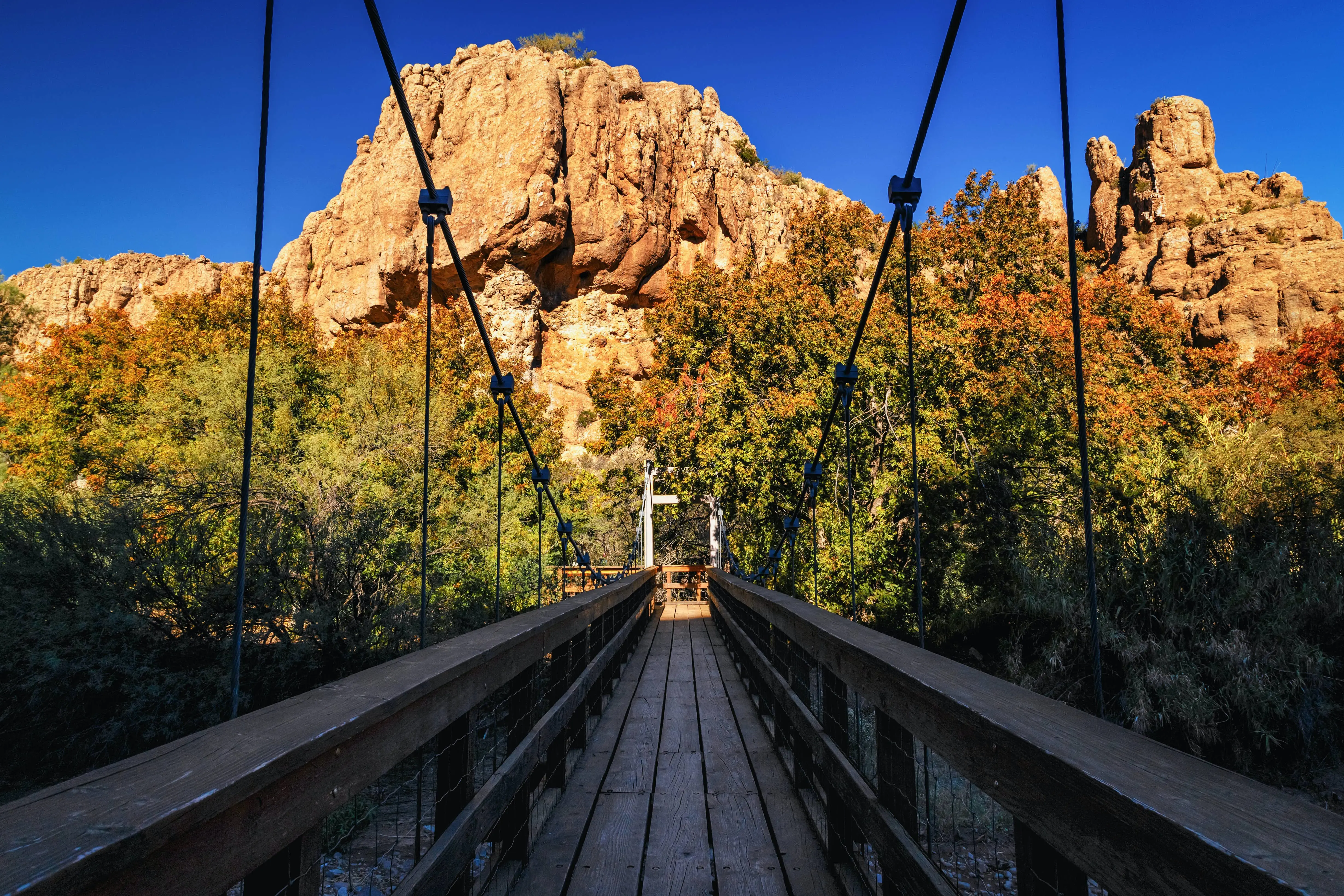 Boyce Thompson Arboretum 