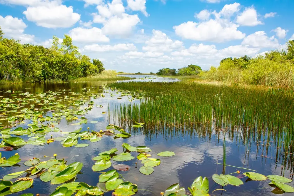 Everglades National Park