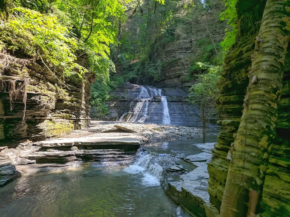 Finger Lakes National Forest