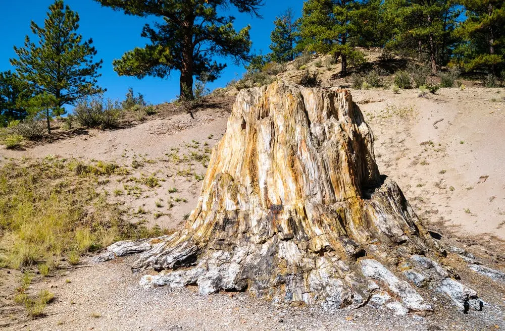 Florissant Fossil Beds National Monument