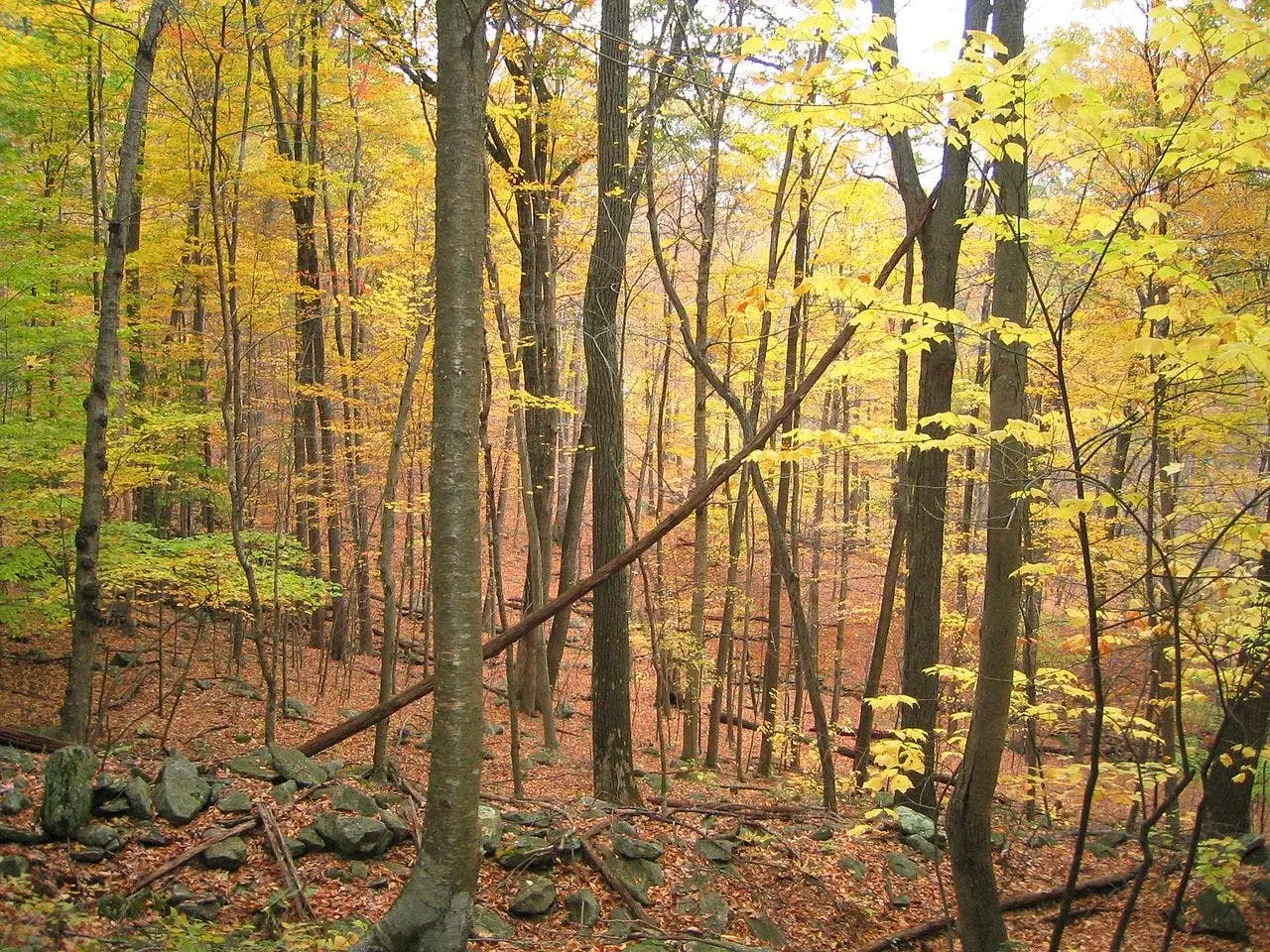 Macedonia Brook State Park