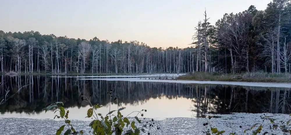 Mark Twain National Forest