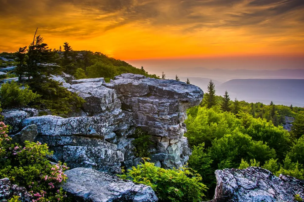 Monongahela National Forest