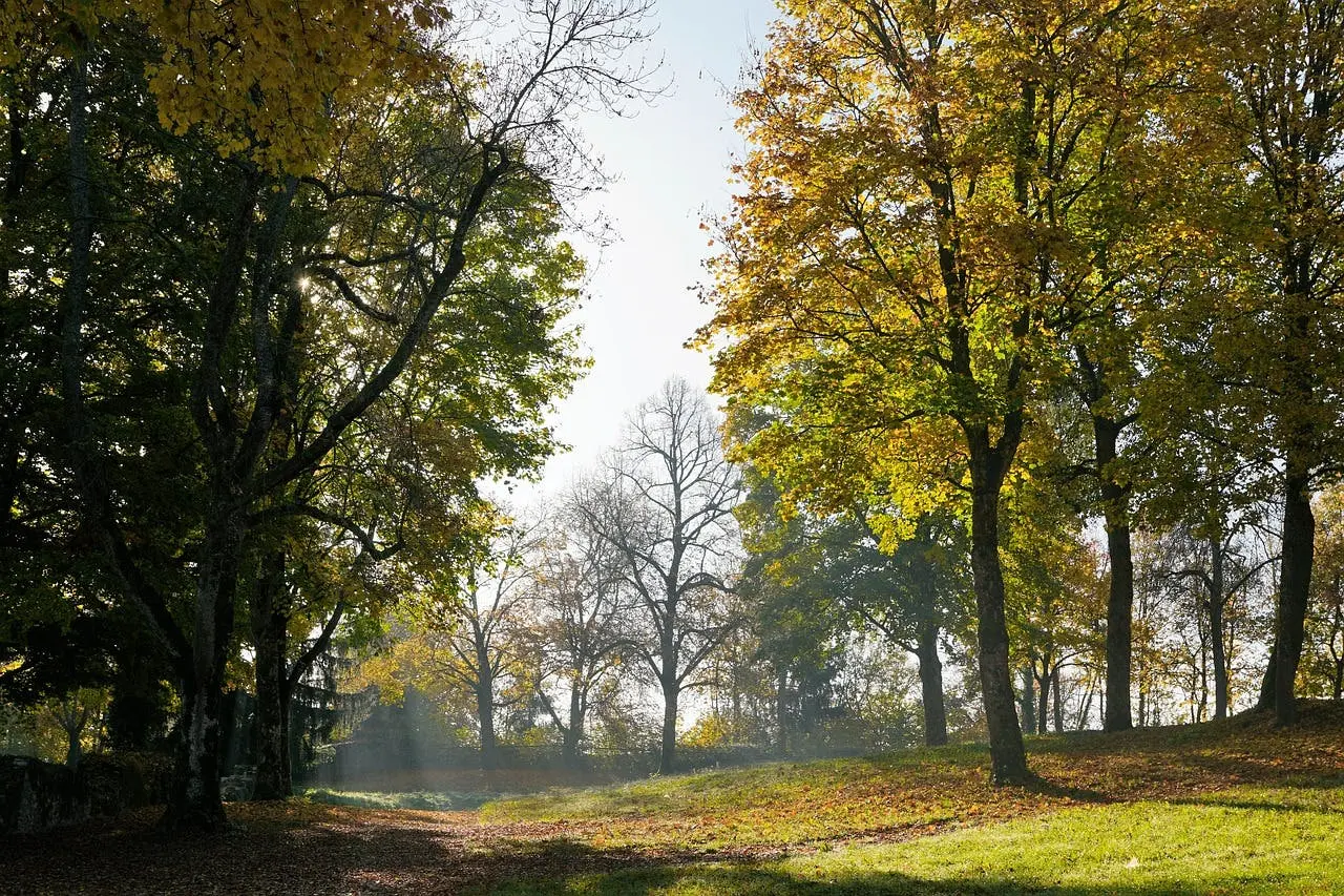 Oak Mountain State Park