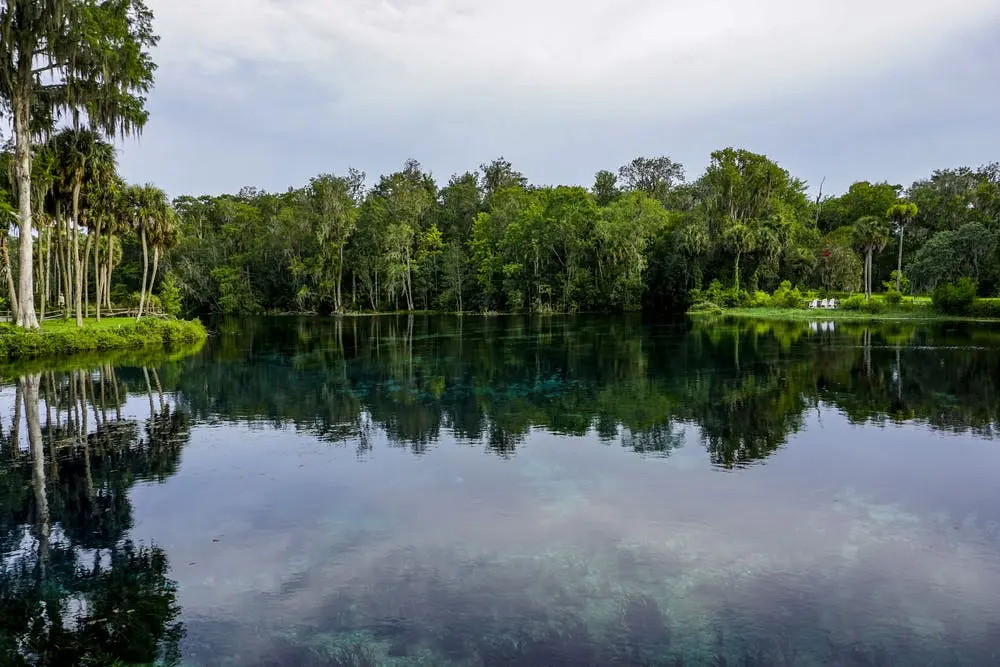 Ocala National Forest