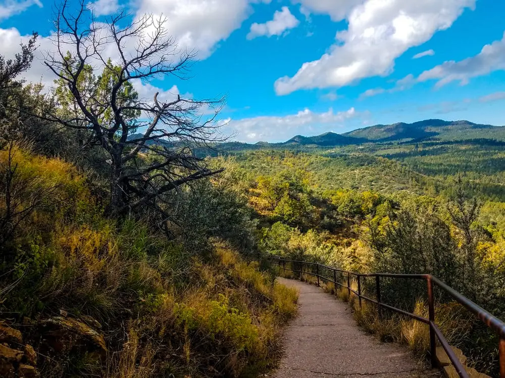 Prescott National Forest