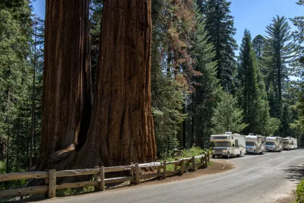 RV Resorts & Campsites in Sequoia National Park