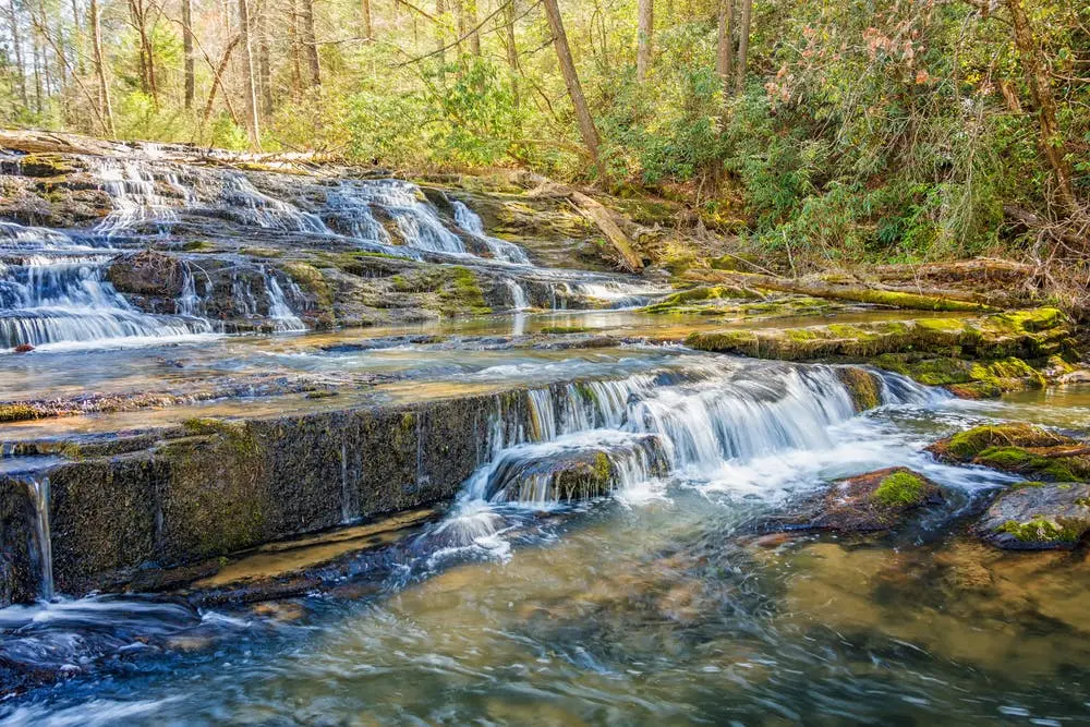 Sumter National Forest