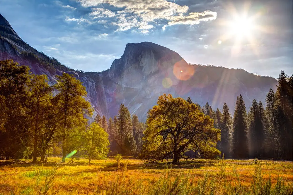 A view of Yosemite National Park